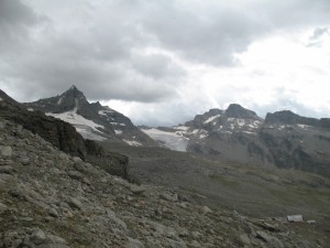 IMG_6028